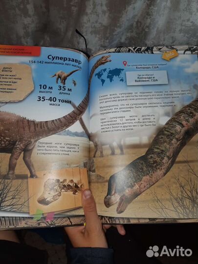 Книга:303 факта о динозаврах
