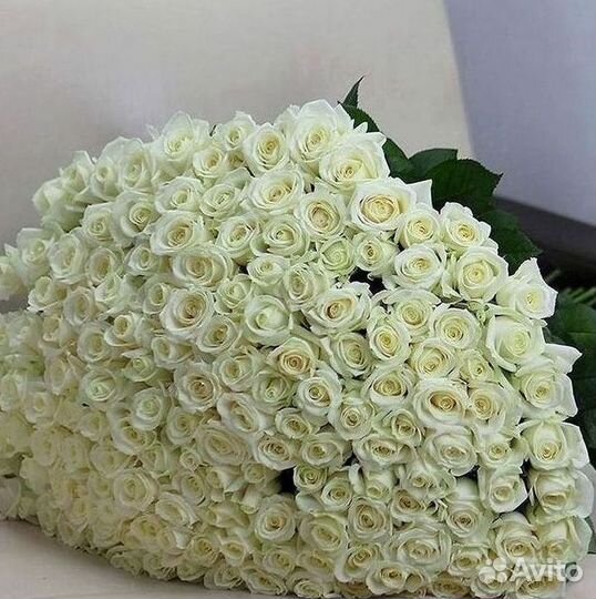 101 Роза Цветы Букеты 51 25 Роз Доставка