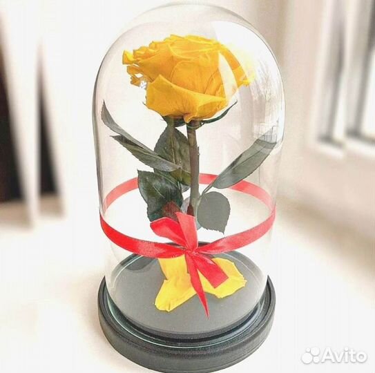 Роза в колбе