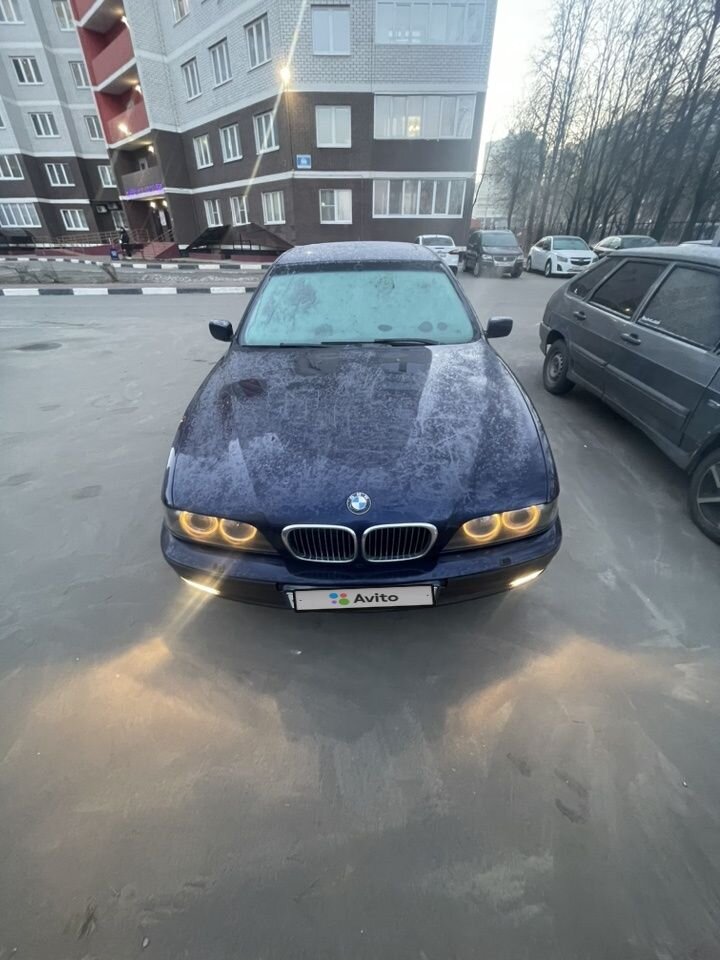 BMW 5 серия: фото владельца