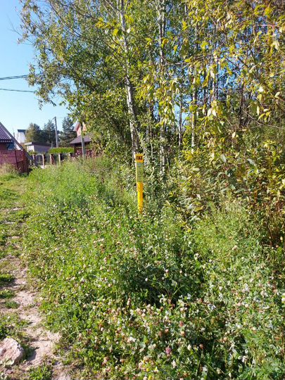 Участок 16,5 сот. (ИЖС)