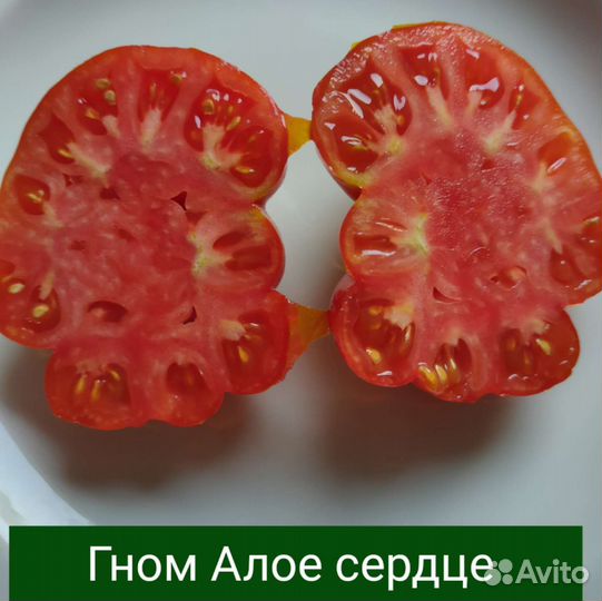 Семена томатов сортовых, томаты серии Гном и т.п