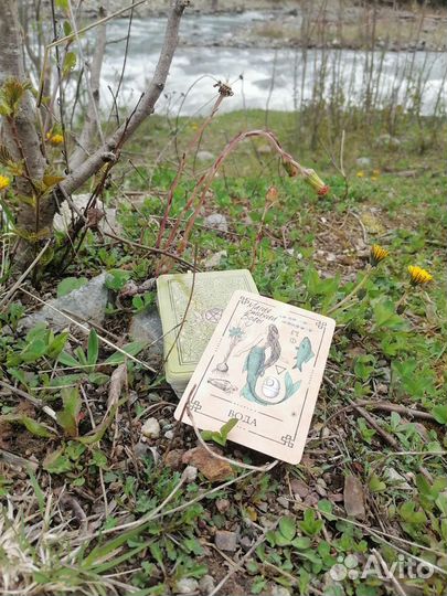 Консультация оракул теней