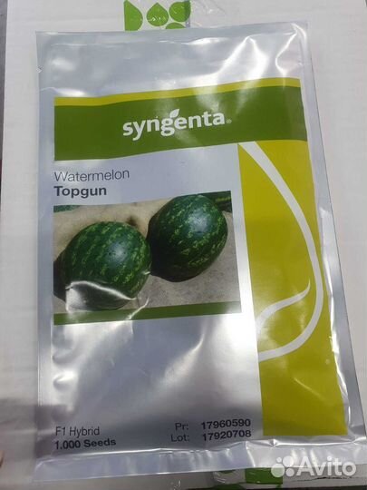 Семена Арбуза Топ Ган F1 1 000с, Сингента