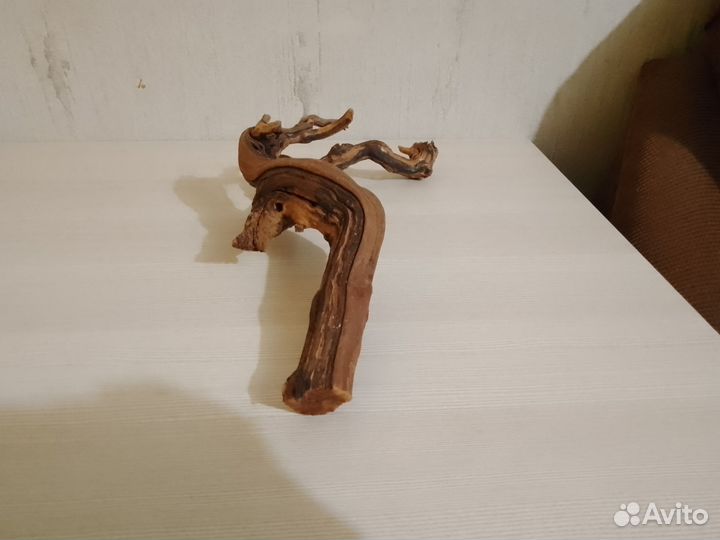 Коряга в террариум