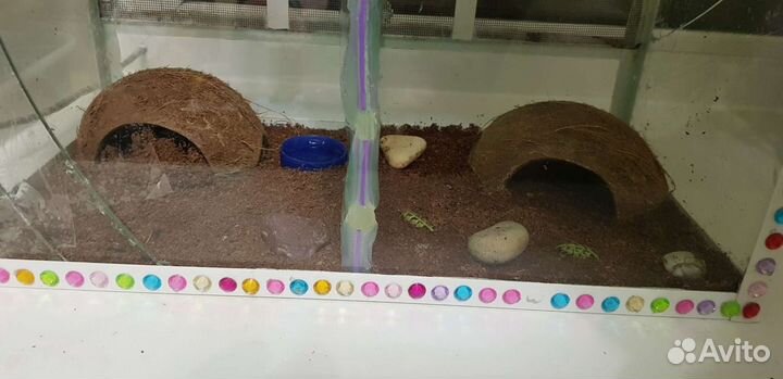 Домик,укрытие из кокоса