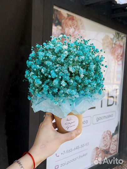 Гипсофила в стаканчике