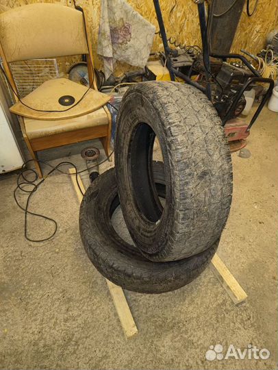 Gislaved Nord Frost C 205/75 R16C