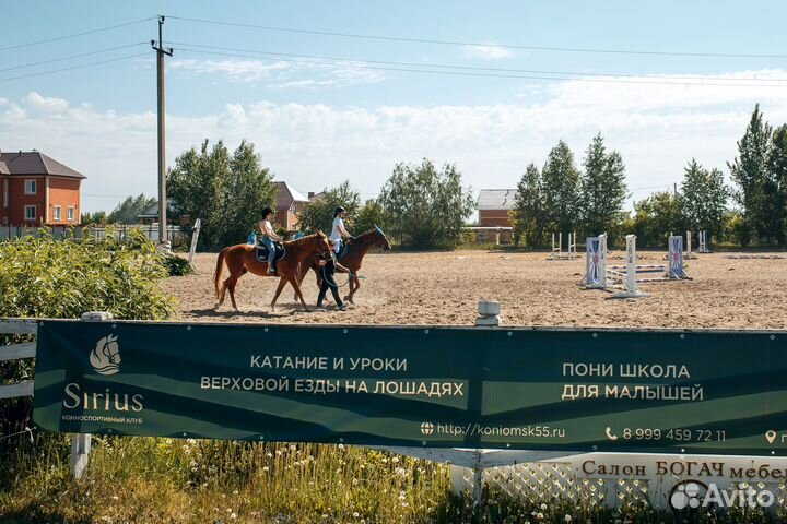 Конные прогулки, прокат лошади