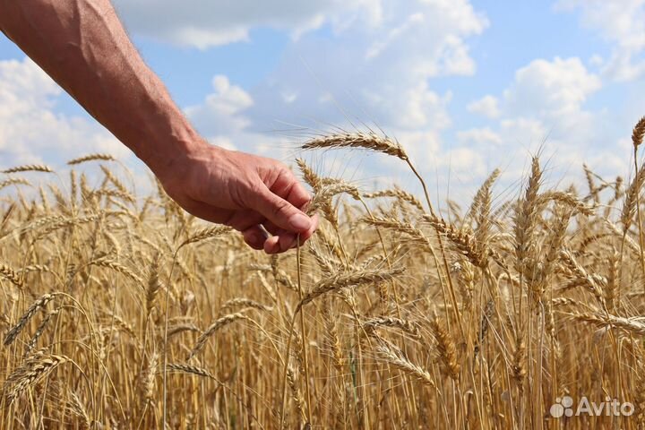 Инвестиции бизнес. Прибыль 4.5 млн в год