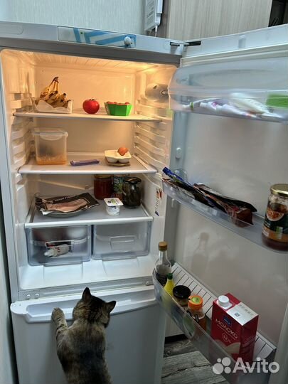Холодильник
