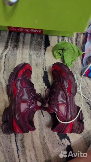 Raf Simons ozweego 3 burgundy