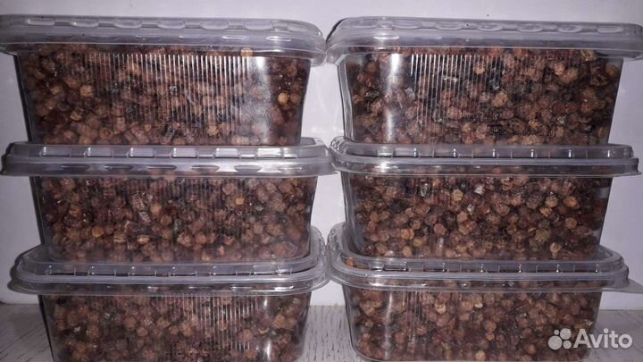 Перга пчелиная