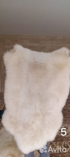 Выделанные овечьи шкуры