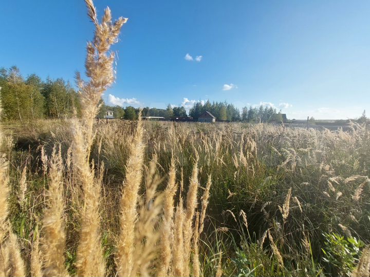 Дом 25 м² на участке 10,7 сот.