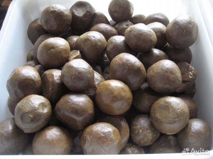 Продам прополис