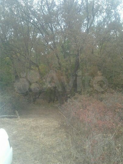 Участок 6 сот. (СНТ, ДНП)