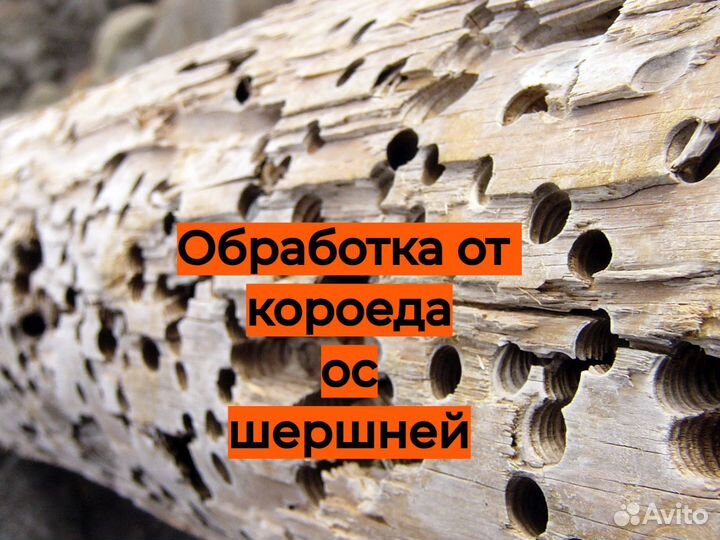 Уничтожение тараканов клопов обработка комаров ос