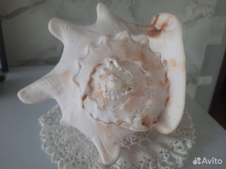 Декорации для аквариума продажа - обмен