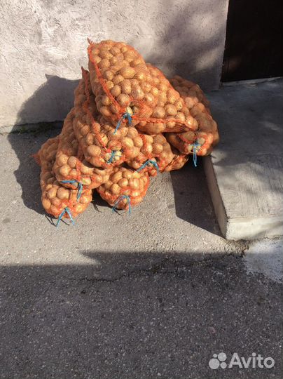 Картофель.Картошка доставка