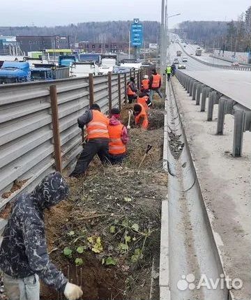 Разнорабочий подсобник грузчики вывоз мусора