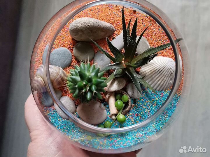 Флорариум с суккулентами 