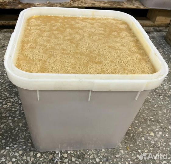 Гречишный мед опт