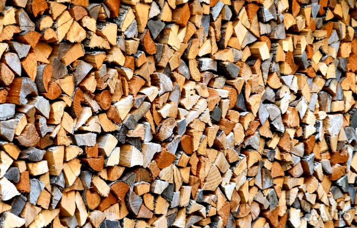 Дрова без жучков