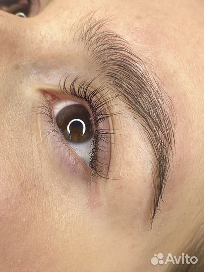 Мастер бровист