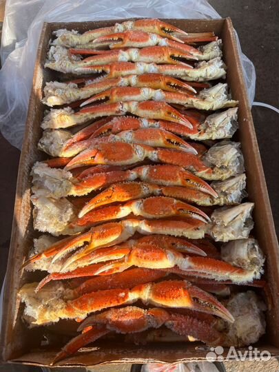 Краб стригун