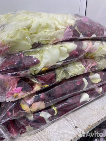 Лепестки роз