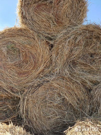 Сено в тюках