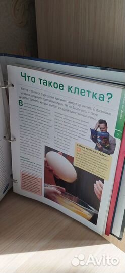 Галилео Наука опытным путем