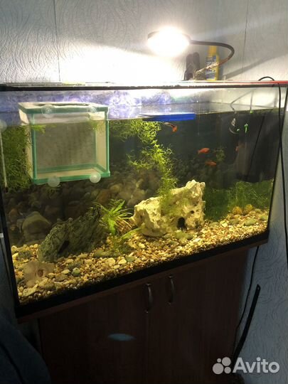 Аквариум 144 литра 80х50х36