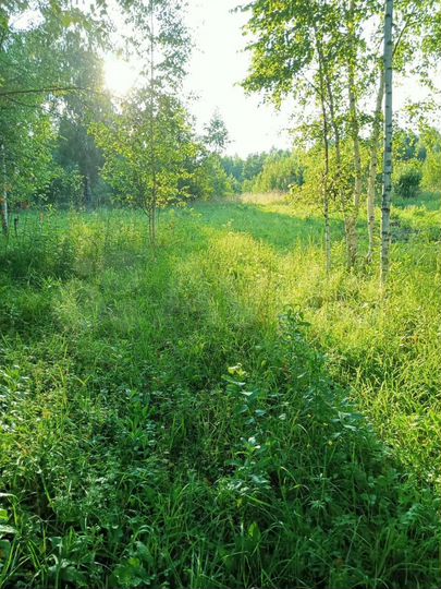Участок 10 га (СНТ, ДНП)