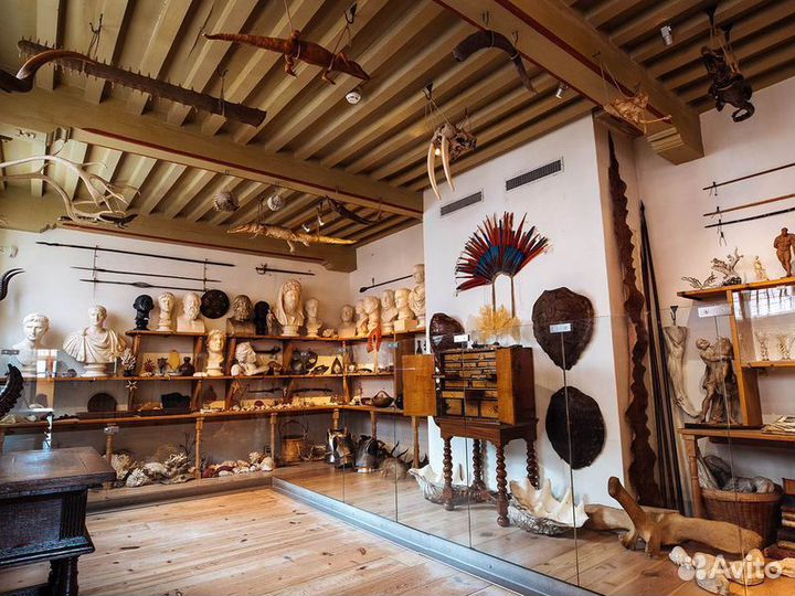 Экскурсия — Амстердам — Амстердам глазами Рембранд