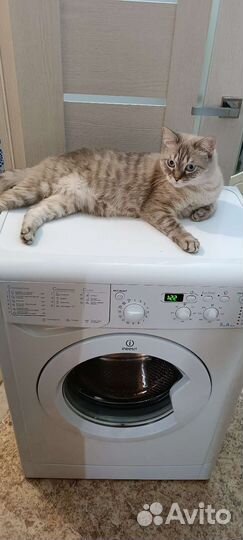 Indesit 5 kg Доставка и установка