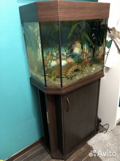 Аквариум