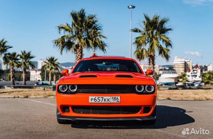 Прокат Dodge Challenger Сочи Адлер