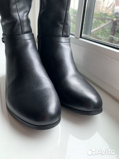 Сапоги женские taccardi 39 размер