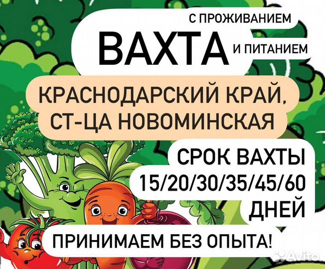 Вахта на консервный завод Разнорабочий без опыта