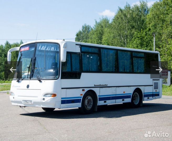 Трансфер автобус