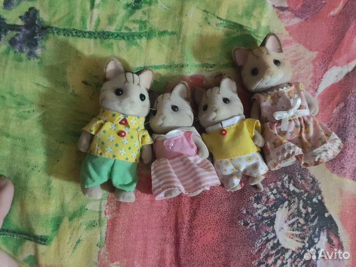 Семья кошечек