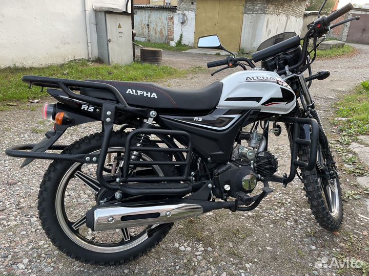 Alpha 18/18 Forester