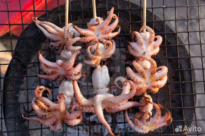 Осьминоги mini 40/60