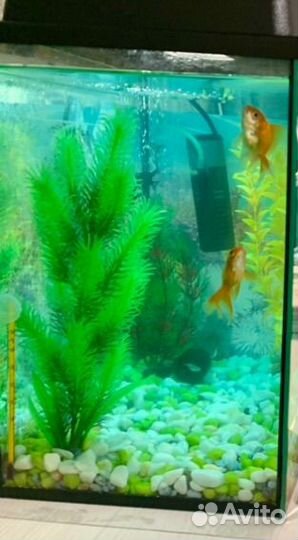 Растения для аквариума искусственное