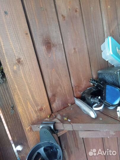 Уничтожение ульев ос и ульев шершней