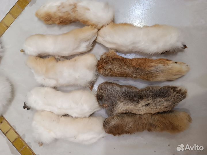 Игрушки для кошек и собак. Лапки, ушки, хвостики