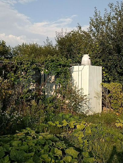 Дача 40 м² на участке 5 сот.