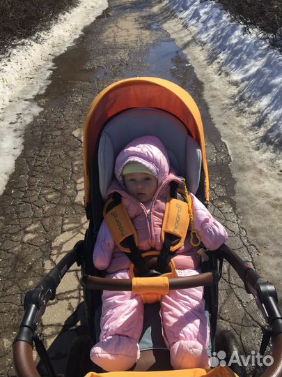 Коляска 2 в 1 noordi solo